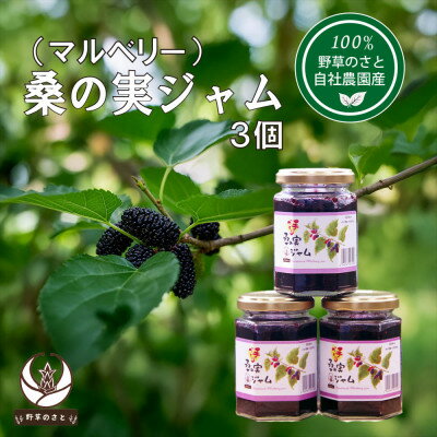 【ふるさと納税】桑の実ジャム150g(3個)【1670288】