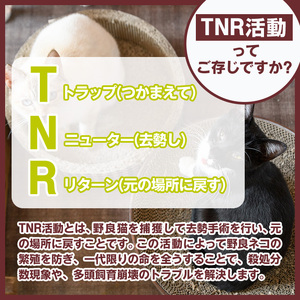 ≪お礼品なし≫保護猫 活動支援(1口：5,000円) 猫 ねこ ネコ 地域猫 野良猫 のらねこ さくら猫 保護 支援 保護猫活動 里親 動物保護 保護活動支援 ペット保護 支援活動 返礼品なし ボラン