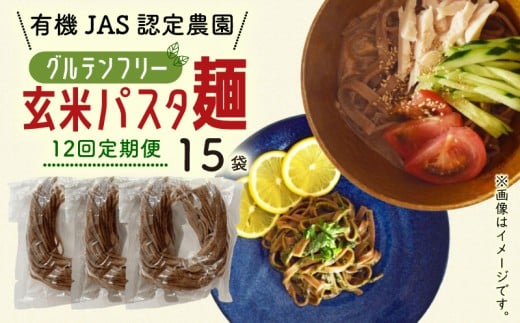 【12回定期便】有機グアバ農園のグルテンフリー玄米パスタ麺 100g×15袋セット | 定期便 グルテン フリー グルテンフリー 食品 麺 メン めん パスタ 人気 おすすめ JAS認証済 高知県 南国市
