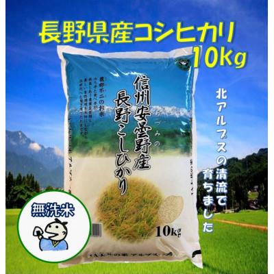 ふるさと納税 池田町 長野県産コシヒカリ10kg(無洗米)