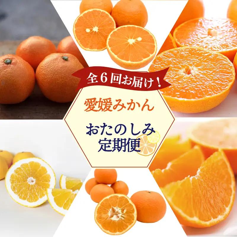 愛媛みかん おたのしみ定期便 全6回 紅まどんな 入り みかん 【KK335】