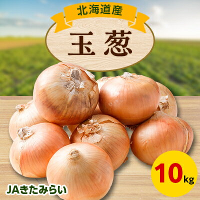 【ふるさと納税】JAきたみらい　玉葱　10kg【配送不可地域：離島・沖縄県】【1292831】