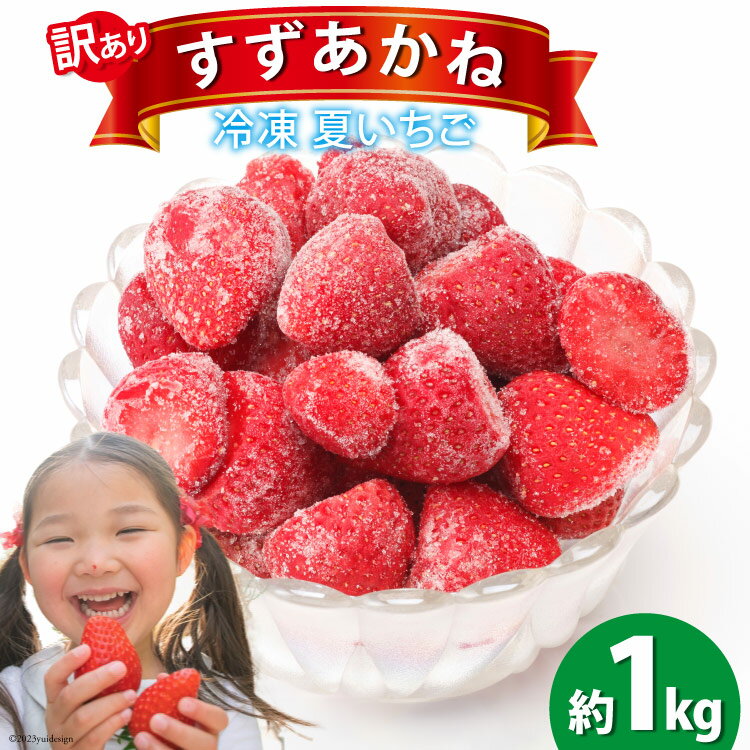 【ふるさと納税】訳あり 冷凍 夏いちご すずあかね 約1kg [水山養殖場 宮城県 気仙沼市 20564004] 果物 イチゴ いちご 苺 簡易包装 フルーツ レビューキャンペーン