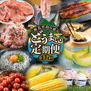 【ふるさと納税】渥美半島の恵み 定期便 12回 ( うなぎ / ブランド豚 / メロン / しらす/ 餃子 / ジェラート / とうもろこし / 焼き鳥 / トマト / 牛肉 / 蒲焼 ) 12ヶ月 1年 鰻 ウナギ 蒲焼 高評価 お楽しみ フルーツ 海鮮 果物 どうまい 人気 田原市