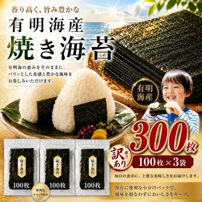 ふるさと納税 玉名市 《訳あり品》九州有明海産海苔 半切300枚(100枚×3)
