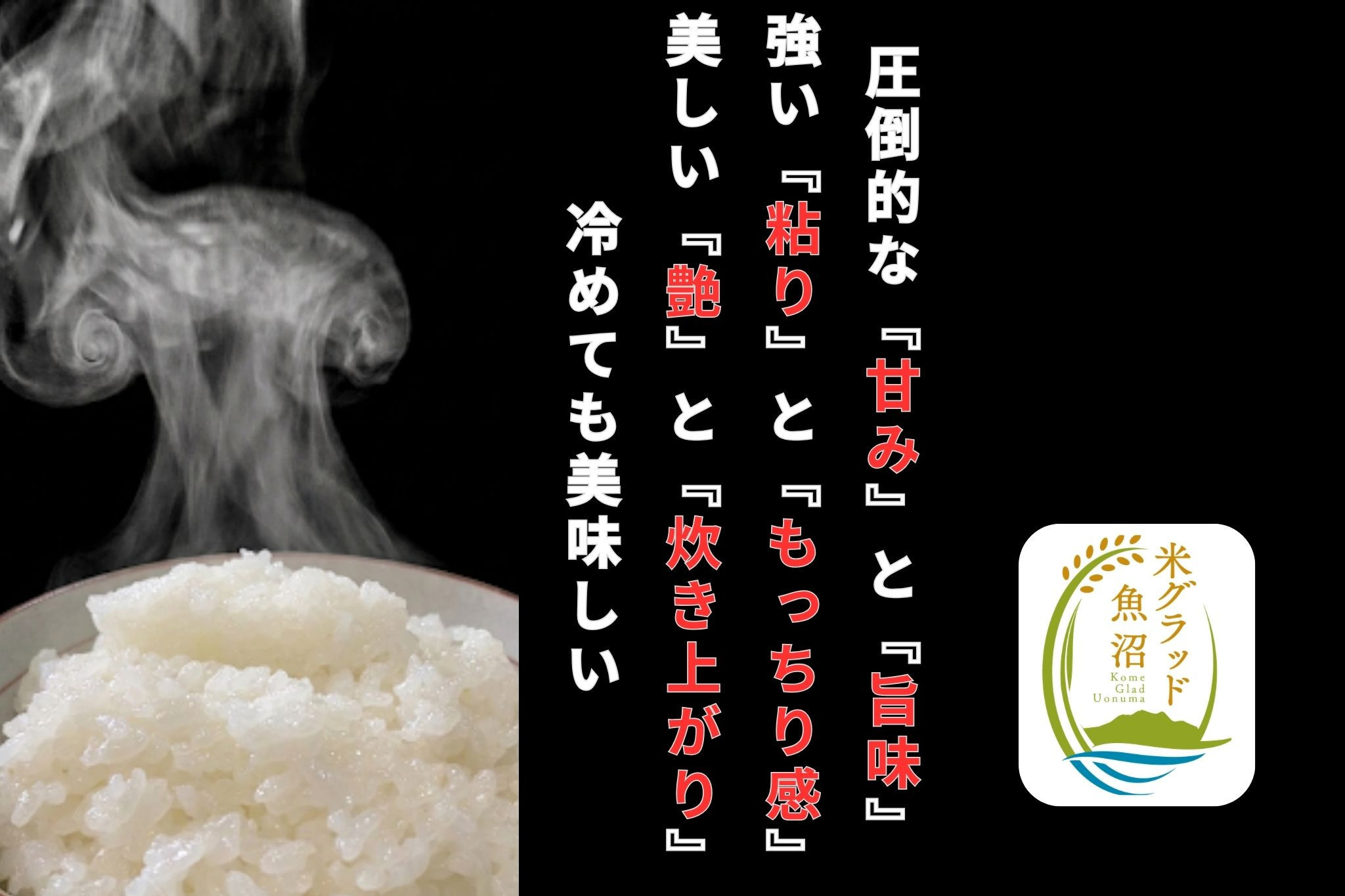 【令和8年産 新米】【定期便】新潟県南魚沼産　新之助　5kg×6か月　大粒でツヤがあるこれまでにないお米