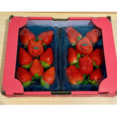 【ふるさと納税】野上農園の土耕栽培ベリーツ 計600g【配送不可地域：離島】【1710545】