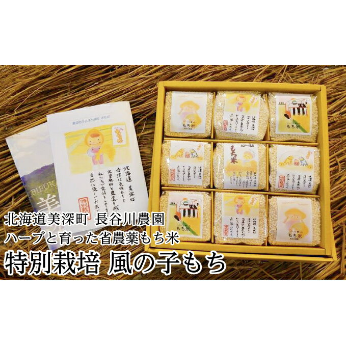 【ふるさと納税】ハーブと育った省農薬の特別栽培もち米「風の子もち」300g×9【北海道美深町】長谷川農園 餅米 　お届け：2025年11月頃から発送開始
