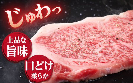 【12回定期便】 サーロイン ステーキ 長崎和牛 約600g（3枚）＜ミート販売黒牛＞[CBA072] コダワリサーロインステーキ こだわりサーロインステーキ おすすめサーロインステーキ おススメサー