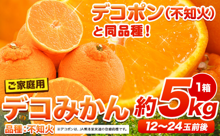 ご家庭用 デコみかん 約5kg 12～24玉前後《2025年2月上旬-4月末頃より出荷予定》 デコポン と同品種   訳あり---ng_dekomikan_af24_25_10000_5kg---