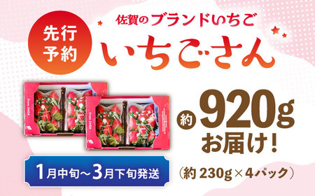 【先行予約 1月中旬以降順次発送】【佐賀のブランドいちご】いちごさん 約920g（約230g×4p）/中村青果店[UDK009]