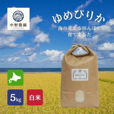 【ふるさと納税】ゆめぴりか 白米5kg【2025年産】【1724298】
