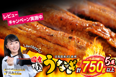  国産うなぎ 蒲焼 5尾 （1尾あたり150g）【 うなぎ 国産 鰻 蒲焼 うなぎ 鰻 うなぎ蒲焼 うなぎ 国産 うなぎ 国産 鰻】北海道 新ひだか