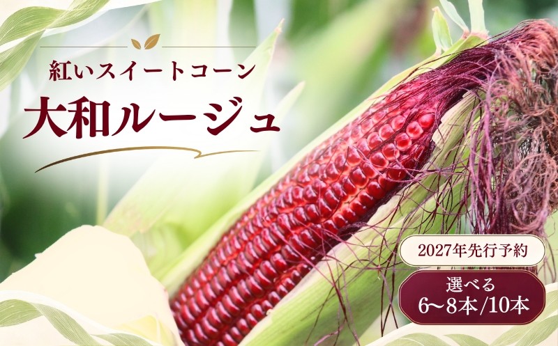 
                  【2027年先行予約】紅いスイートコーン 大和ルージュ 選べる 6～8本 / 10本 山梨県都留市産  ｜ 希少な赤いとうもろこし 甘い スイートコーン トウモロコシ 産地直送 送料無料【浅田農園】
                