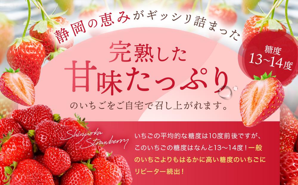 先行受付(2025年2月以降発送)農家直送！ 静岡いちご　DX　糖度13～14度　1100g 程度（270～280g×4パック）甘くて地元大人気！やみつきリピーター多数　御前崎産　数量限定