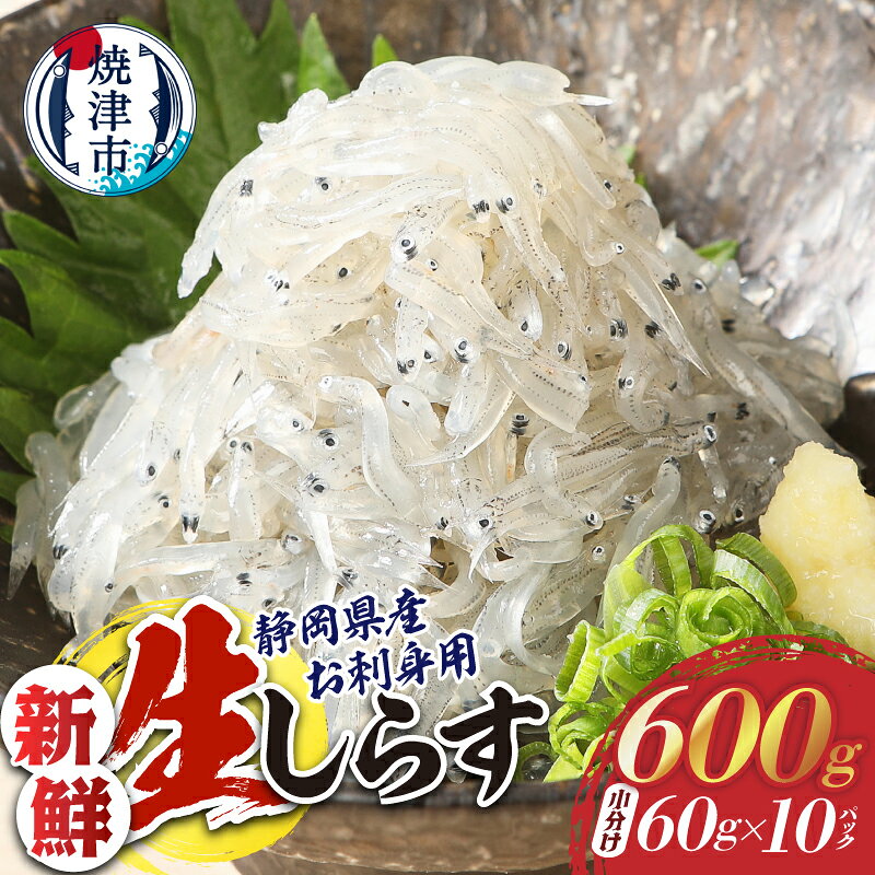 【ふるさと納税】 生しらす 刺身 しらす 魚 冷凍 真空パック CAS凍結 天然 焼津 約60g×10パック 静岡県漁連 a10-419