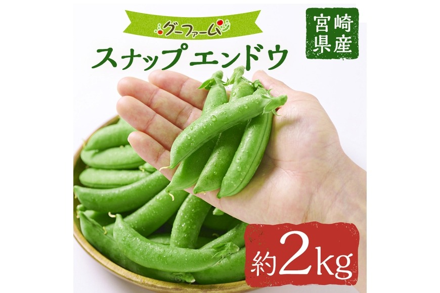 ＜先行予約受付中！2026年2月下旬～4月上旬の間に発送予定＞期間限定！スナップエンドウ(約2kg)野菜 やさい 旬 新鮮 サラダ そら豆 えんどう豆  宮崎県産【GF-1】【グーファーム】