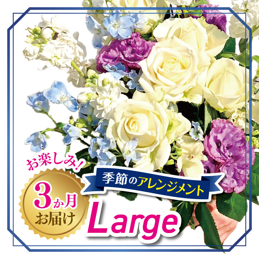 【ふるさと納税】3か月 お届け お楽しみ！ 季節 の アレンジメント 「Large」 | アレンジ タイプ 高さ約42cm 横幅約40cm お花 flower フラワー 花 リトルシード インテリア 植物 定期便 お任せ お見舞い ギフト お祝い 誕生日 親孝行 プレゼント贈り物 新鮮 調布 東京都