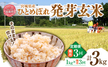 定期便 隔月 3ヶ月 簡単に炊ける 宮城県産 ひとめぼれ 発芽玄米 計3kg(1kg×3回) / 菅原商店 / 宮城県 加美町 sg-hb01-hg-k3