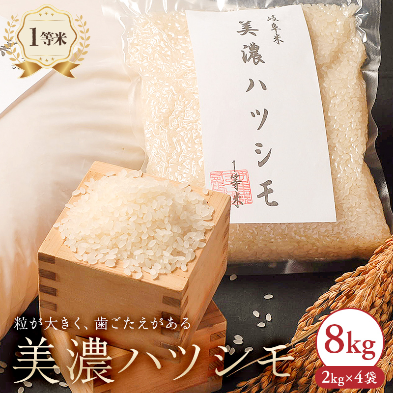 美濃ハツシモ　１等米８kg（２kg×４袋）【0021-007】