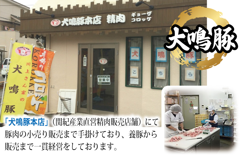 【期間限定】犬鳴豚餃子 86個＋手作りプレミアムハンバーグ（2個入り）【国産 豚肉 泉佐野ブランド豚 犬鳴ポーク】 099H3568-1