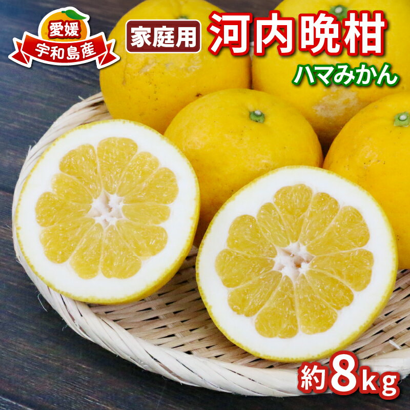 【ふるさと納税】 河内晩柑 8kg 家庭用 愛媛みかん ハマみかん 晩柑 ばんかん かわちばんかん 和製 グレープフルーツ 果物 くだもの フルーツ 柑橘 みかん 蜜柑 mikan 愛媛ミカン 愛媛蜜柑 産地直送 数量限定 国産 愛媛 宇和島 B010-075010