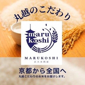 京都丹波産きぬひかり 5kg 精米 白米