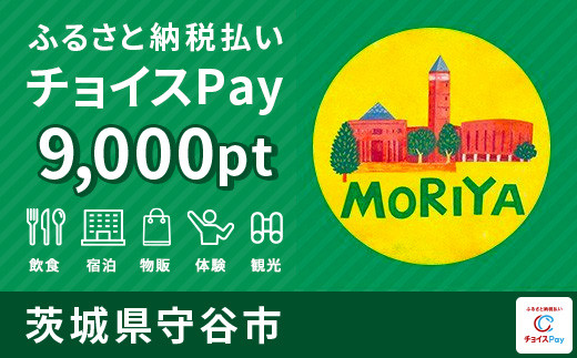 
守谷市チョイスPay 9,000pt（1pt＝1円）【会員限定のお礼の品】
