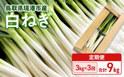 
                  ＜11月上旬～4月下旬発送予定＞白ねぎ(3kg/定期便3回・計9kg)
                