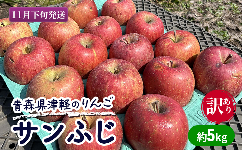 
【11月下旬発送】【訳あり】青森県津軽のりんご「サンふじ」約5kg【里いちみfarm】
