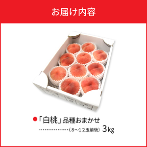 【令和7年産】白桃 品種おまかせ 3kg (8～12玉前後) ギフト箱入 秀品 山形県産 【緑茶園】