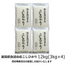 【ふるさと納税】令和6年産 農産物検査員お奨め 魚沼産こしひかり（精米）12kg（3kg×4）　お米・コシヒカリ　お届け：10月より順次発送