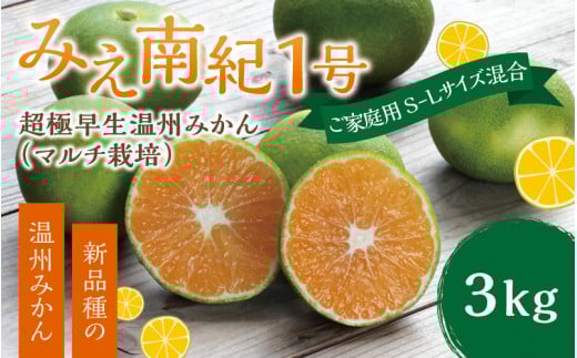 【先行予約】みえ南紀１号 ご家庭用 S-Lサイズ混合 たにぐち農園の超極早生温州みかん(マルチ栽培) 3kg【2025年9月下旬～順次発送】 / ご家庭用 家庭用 不揃い フルーツ 極早生 早生 温州 みかん 蜜柑 三重県 新品種 高品質 みえ
