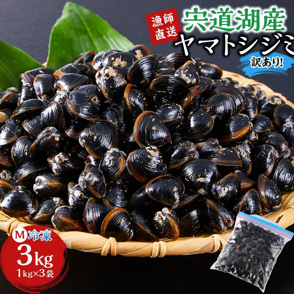 漁師直送！宍道湖産 ヤマトシジミ・Mサイズ 冷凍 3kg）| しじみ