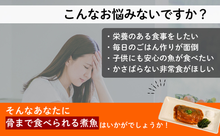さばの味噌煮 12P 24食分 鯖 さば 味噌煮