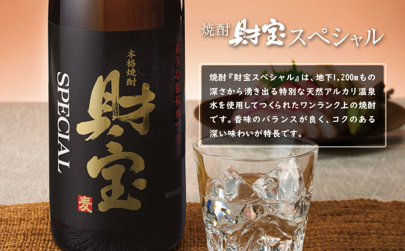 【麦焼酎】5合瓶 4種8本 温泉水 財宝 鹿児島 焼酎 お酒