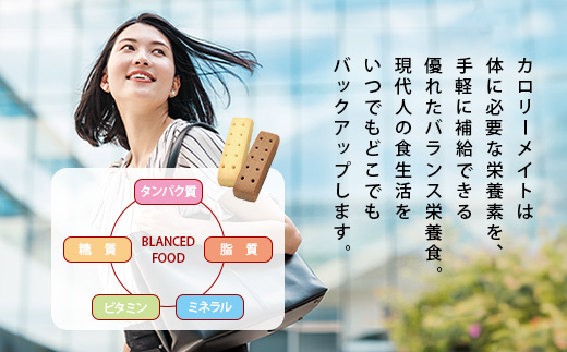 【6回定期便】≪チーズ味≫ カロリーメイトブロック 4本入り 計60箱 ×6回 合計360箱【徳島 那賀 大塚製薬 カロリーメイト チーズ ビタミン ミネラル たんぱく質 脂質 糖質 5大栄養素 バラ