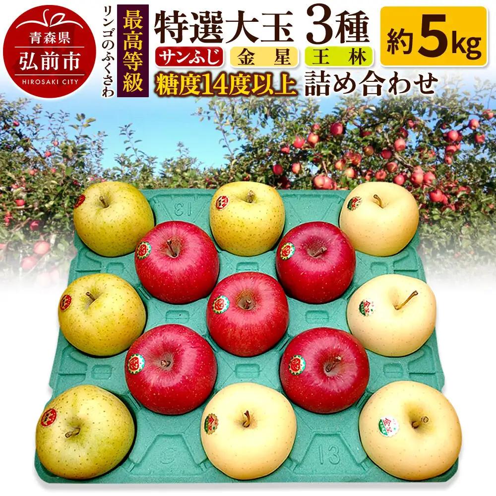 りんご 最高等級 特選大玉 3種詰め合わせ 約5kg【12月～発送】りんご
