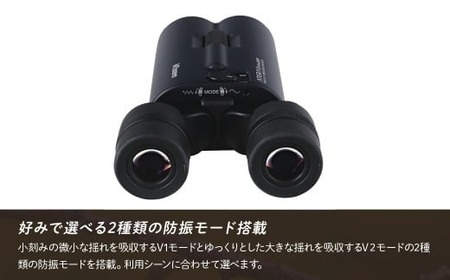防振双眼鏡 ビクセン ATERAII H14x42WP ブラック | 双眼鏡 アテラ vixen FN-Limited-PR
