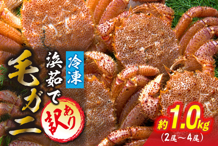 訳あり 北海道産 毛ガニ ＜ 冷凍 ＞ ボイル 約 1kg （ 2～4尾 ） 毛蟹 毛がに かに カニ 蟹 かに味噌 カニ味噌 海鮮 海産物 わけあり 訳アリ
