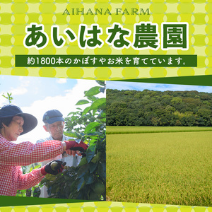 ＜先行予約受付中！2025年8月上旬～2026年2月下旬ごろ順次発送予定＞露地カボス(約7kg)かぼす カボス 柑橘 特産品 大分県産【107100601】【あいはな農園】