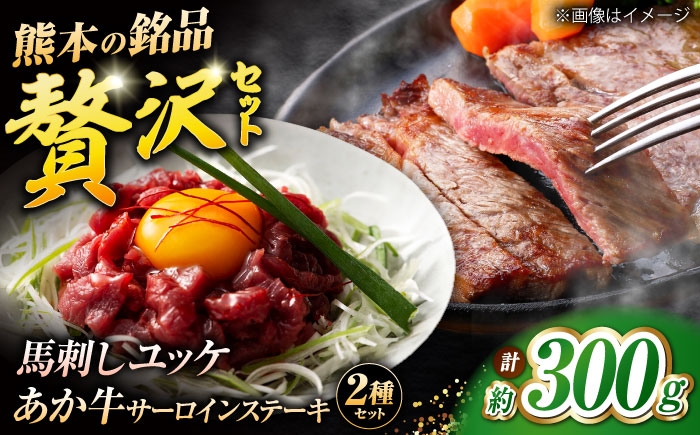 
                  【お中元対象】くまもとあか牛サーロインステーキと国産馬刺しユッケ贅沢セット 計約300g【有限会社 スイートサプライなかぞの】 [ZBV093]
                