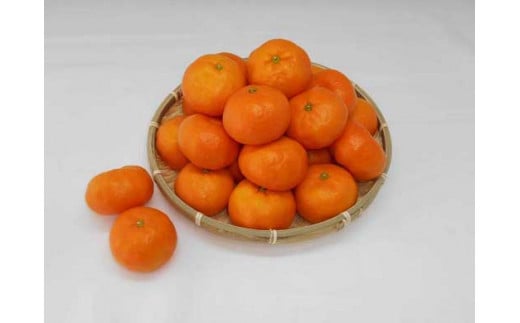 
紀州完熟みかん７ｋｇ（２Lサイズ）

