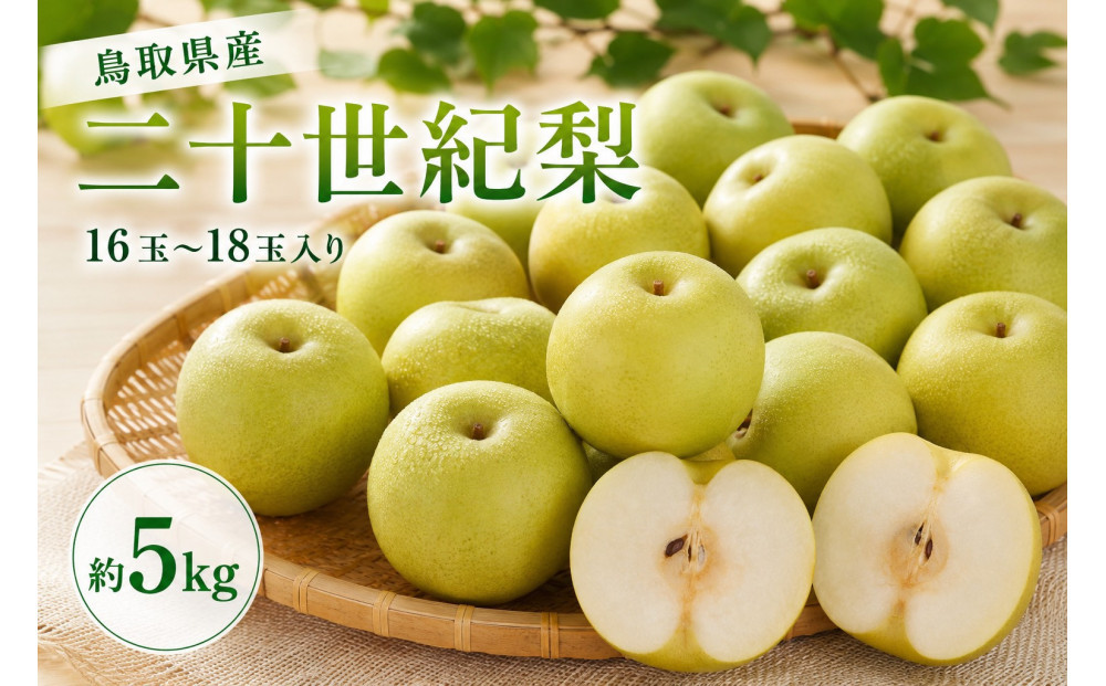 鳥取県産 二十世紀梨 約5キロ【鳥取県 境港市】