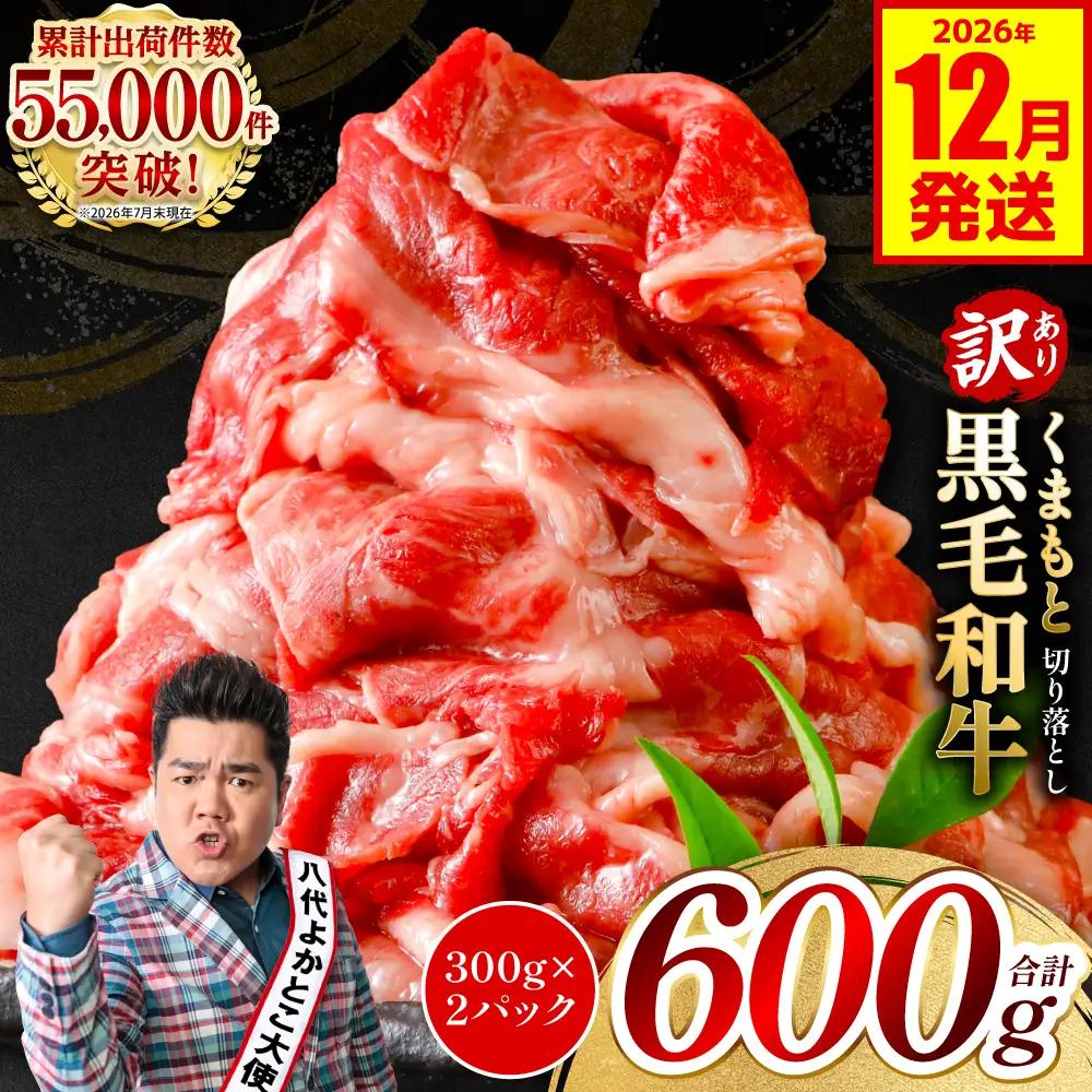 【訳あり】 牛肉 くまもと黒毛和牛 切り落とし 600g（300g×2）【2026年12月発送】 牛肉
