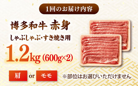 【全3回定期便】【訳あり！】A4ランク以上！博多和牛 赤身（肩・モモ）霜降り しゃぶしゃぶすき焼き用 1.2kg  桂川町/株式会社 MEAT PLUS[ADAQ135]