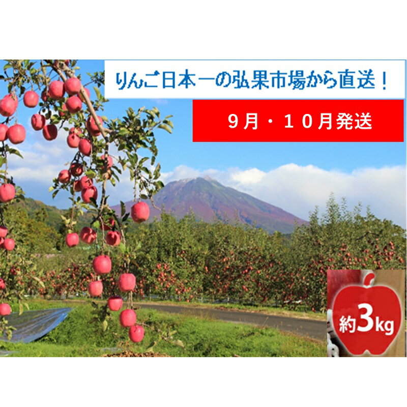 【ふるさと納税】【9月・10月発送】贈答用 早生ふじ 約3kg【西目屋村産・青森りんご】 りんご 林檎 リンゴ 果物 フルーツ くだもの 旬 青森県産 お取り寄せ 詰め合わせ セット 常温 産地直送 送料無料 青森県 西目屋村　お届け：2025年9月29日～2025年11月5日