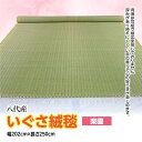 【ふるさと納税】いぐさ絨毯【楽園】1枚 幅202cm×長さ250cm い草 八代市産 イグサ 絨毯 敷物 熊本県産 ラグ マット 和風 工芸 伝統 上敷き 国産 九州 送料無料