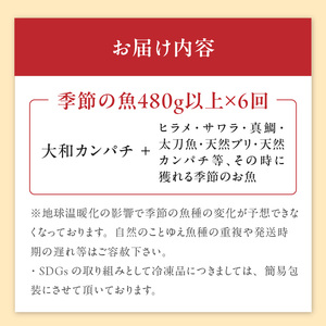 【6ヶ月定期便】大和海商　高級お刺身　6人前　冷凍　N072-ZF017_2