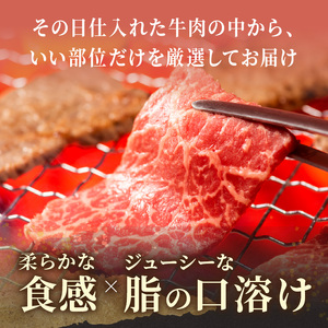 訳あり！【A4～A5】長崎和牛焼肉切り落とし(肩ロース・バラ)1kg(500g×2P)【B8-017】牛肉 おすすめ 長崎和牛 バーベキュー 焼肉 切り落とし 冷凍 国産 送料無料